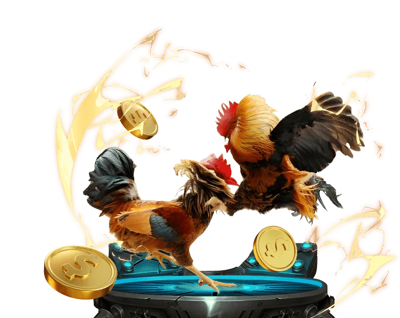 Hoàn trả cược đá gà hàng ngày qh88